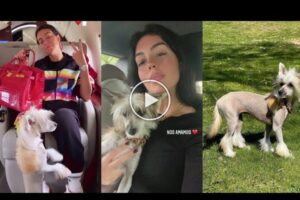 Video: Georgina Rodriguez with her dog Antonia