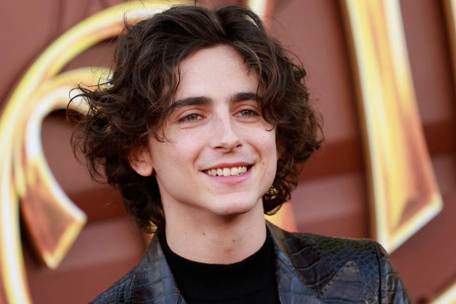 Timothée Chalamet Biography, Profile, Trivia, Family & Life Story