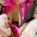 IVE’s Jang Won-young Turns Heads With Luxurious Home Décor, Fans Praise Her ‘Young and Rich’ Lifestyle